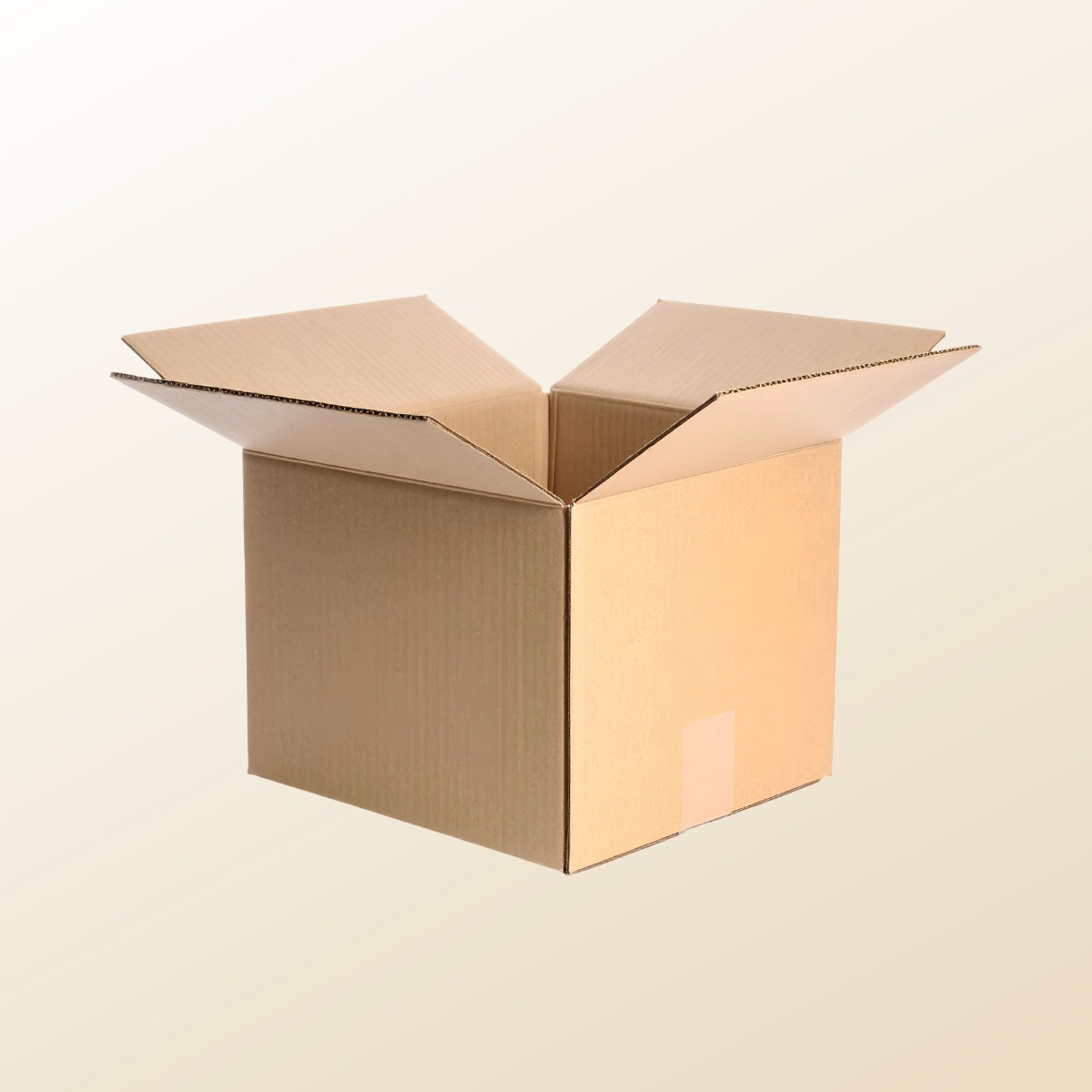 Caja de Mudanza Reforzada